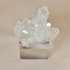 Clear Apophyllite Cluster